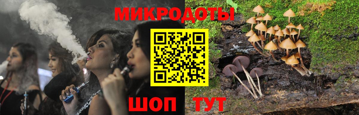 Галлюциногенные грибы Psilocybine cubensis Глазов
