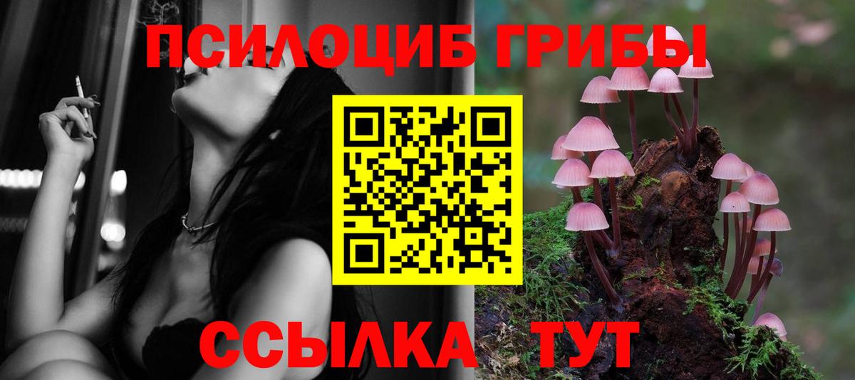 Глазов  Псилоцибиновые грибы мицелий  Вход с VPN  Галлюциногенные грибы мухоморы 